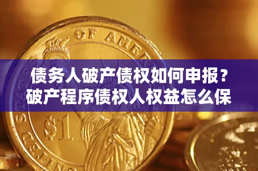 北京债务人破产债权如何申报？破产程序债权人权益怎么保障？