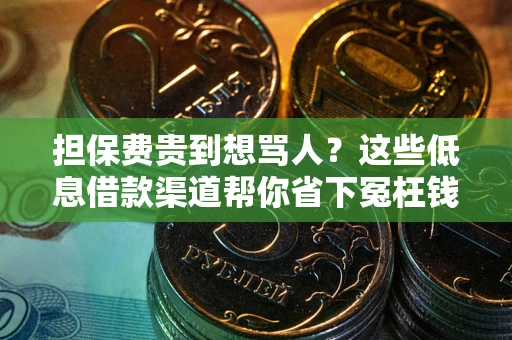 北京担保费贵到想骂人？这些低息借款渠道帮你省下冤枉钱