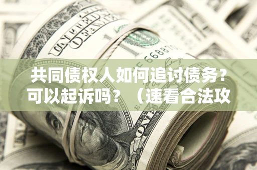 北京共同债权人如何追讨债务？可以起诉吗？（速看合法攻略）