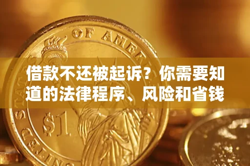 北京借款不还被起诉？你需要知道的法律程序、风险和省钱技巧