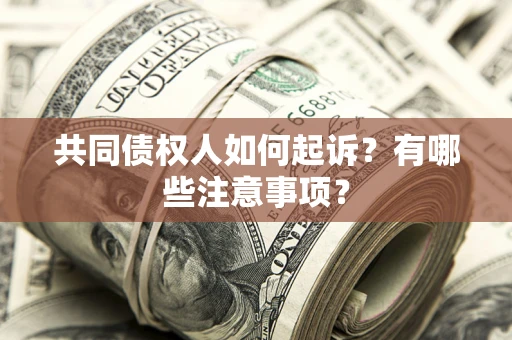 北京共同债权人如何起诉？有哪些注意事项？